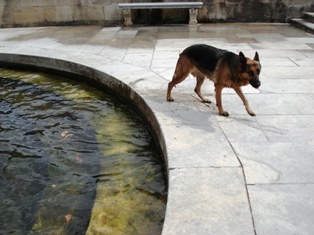 Lotte na bad in Jardin de la Fontaine te Nîmes